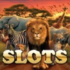 Safari Slots - Big Casino Game