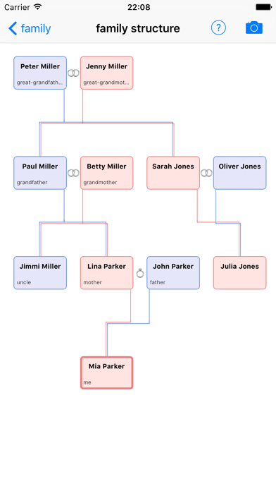 familyStructure Screenshot