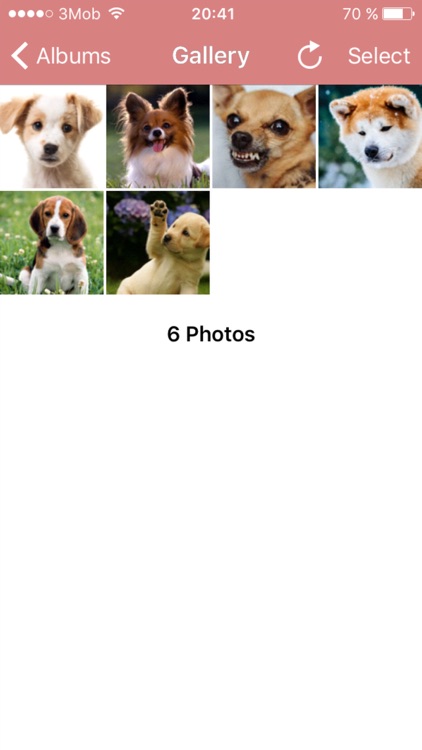 Image to PDF Converter and Viewer
