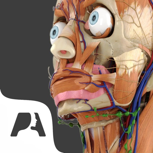 Pocket Anatomy - Interactive 3D Human Anatomy and Physiology. icon