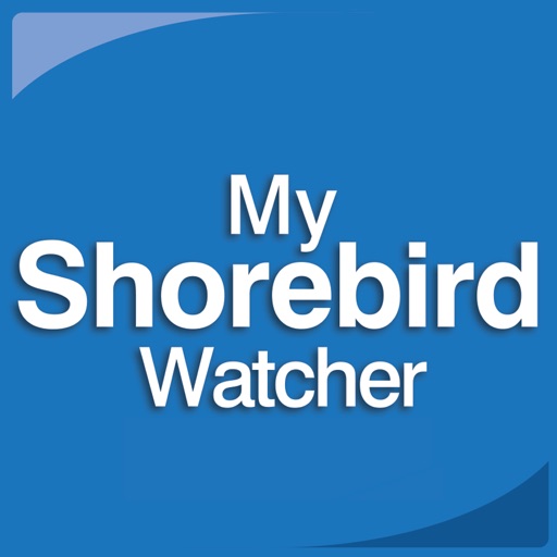 Shorebirds