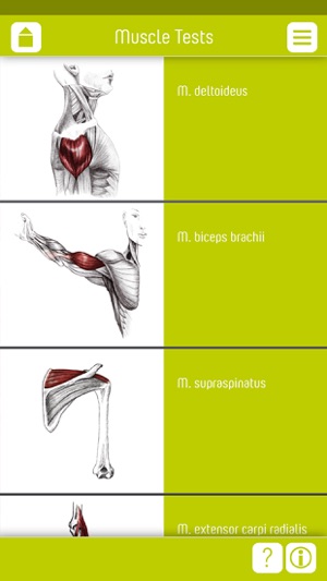 Muscle Test part 2(圖2)-速報App