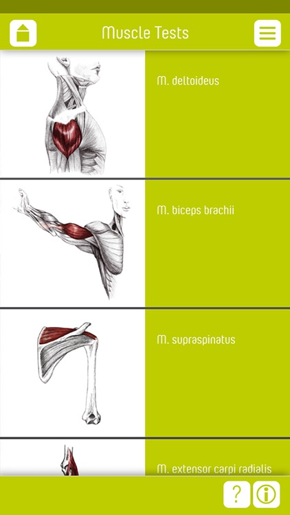 Muscle Test part 2