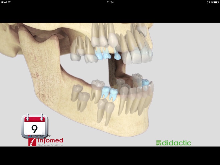 Didactic screenshot-4