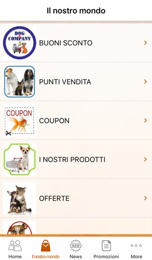 D&C LIVORNO(圖3)-速報App