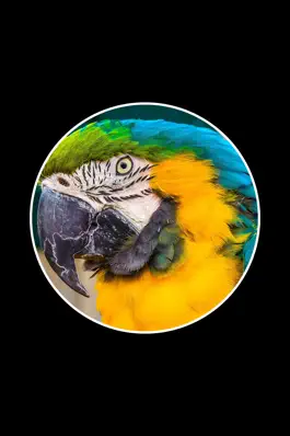 Game screenshot Два Кольца 2 hack