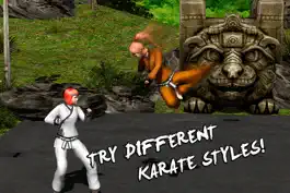 Game screenshot Karate Do Fighting Tiger 3D apk