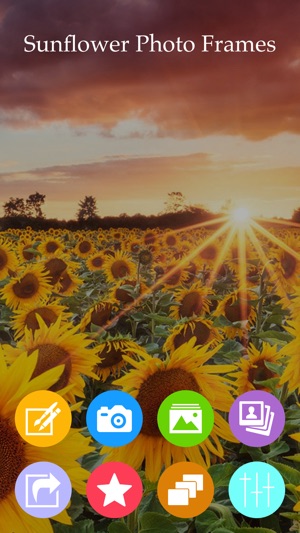 Sunflower Photo Frame(圖1)-速報App