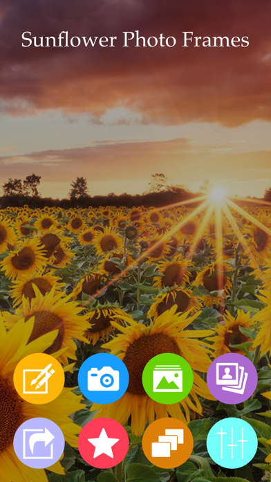 Screenshot #1 pour Sunflower Photo Frame