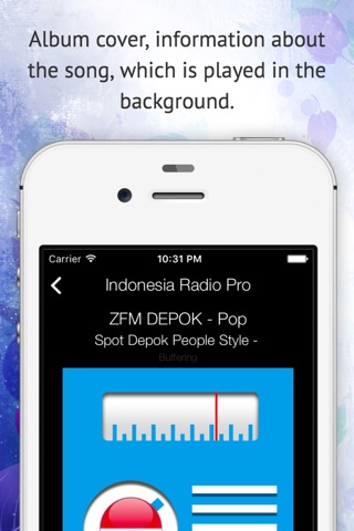 Indonesia Radio Pro screenshot 2