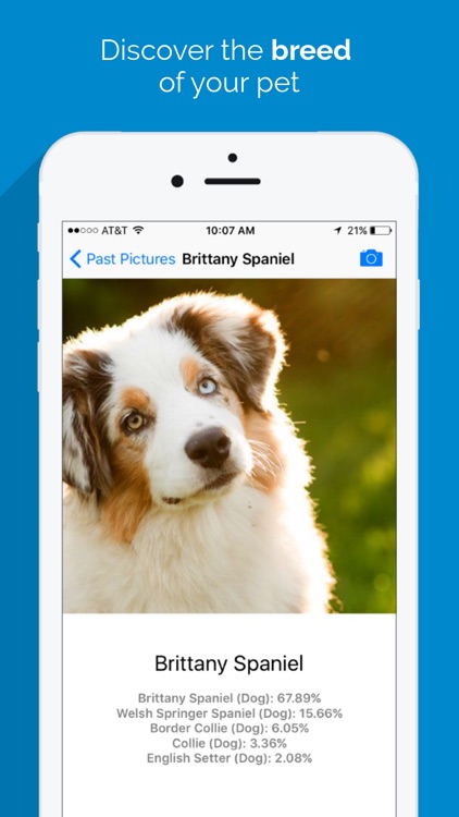 Animal Identifier - Animal Identification From a Picture screenshot-3