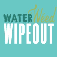 Activities of Waterweed Wipeout