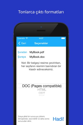 The Document Converter screenshot 2