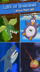 Raccoon Escape Captura de tela 3