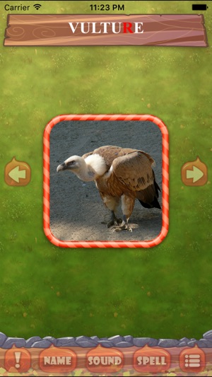 Figure Animal ABC(圖3)-速報App