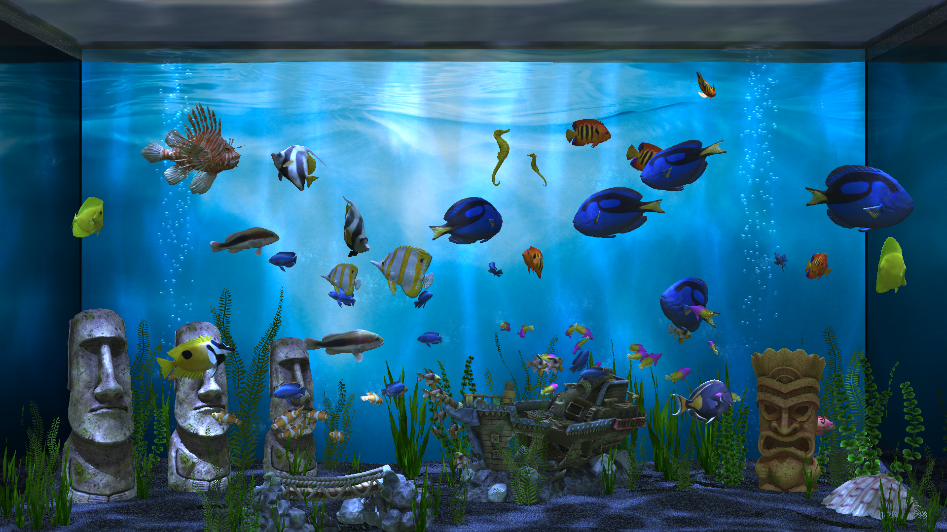 Aqua TV screenshot 12