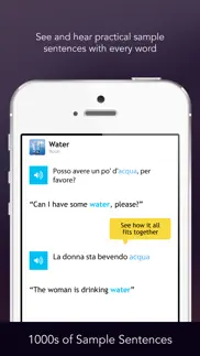 learn italian - free wordpower iphone screenshot 4