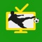 Football on TV - Live on Sat, Match, which is the channel?