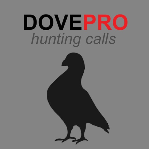 REAL Dove Calls and Dove Sounds for Bird Hunting! - BLUETOOTH COMPATIBLE Icon