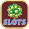 Load Machine Rack Of Gold - Amazing Paylines Slots