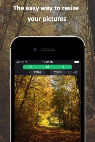 Picture Resizer screenshot 3