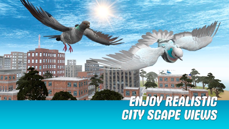 City Pigeon Simulator 3D