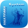 Human Anatomy System : Skeletal System - Human Anatomy Dictionary