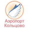 Koltsovo Airport Flight Status