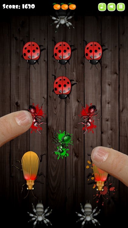 Ladybug Insect Smasher