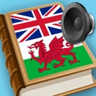 English Welsh best dictionary - Geiriadur gorau Saesneg Cymraeg encyclopedia