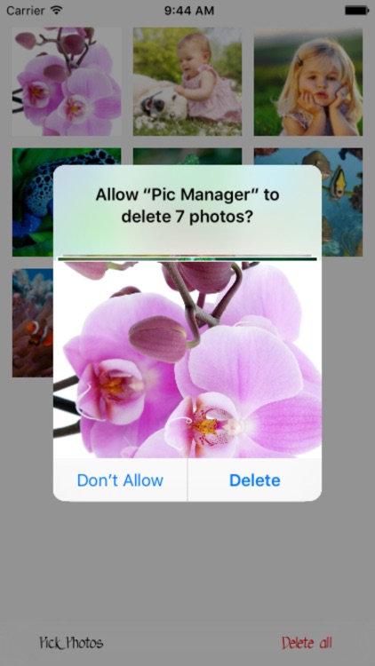 Pic Manager - Fast Deleter screenshot-3