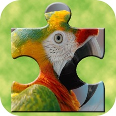 Activities of Animals Photo Jigsaw Puzzle - Magic Amazing HD Puzzle for Kids and Toddler Learning Games Free