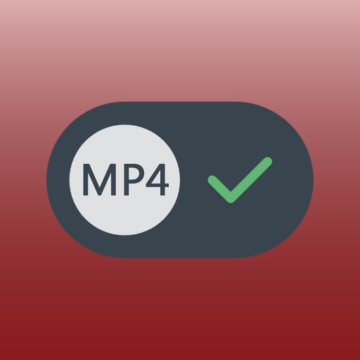 MP4 Converter Icon