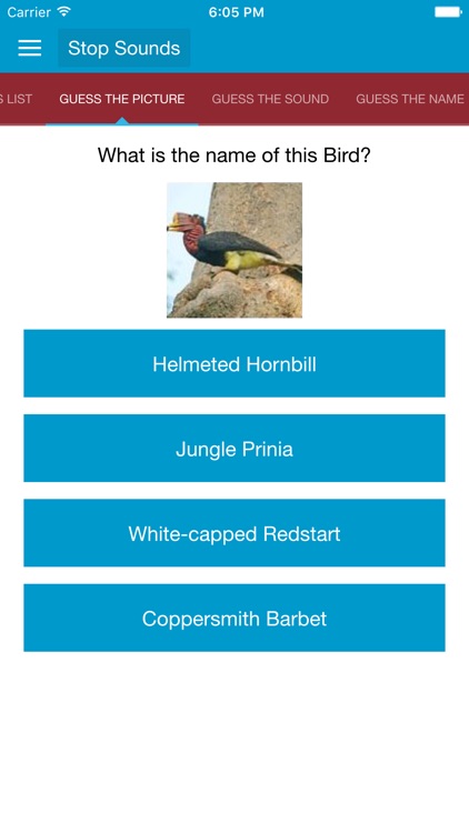 Asian Birds Sounds screenshot-4