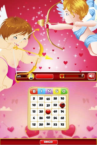 Punch The Bingo Balls Premium - Free Bingo Casino Game screenshot 3