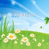 The Daily Flower