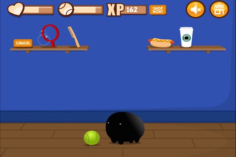 Play With My Cat Puzzle screenshot 4