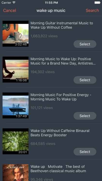 VidAlarm - Video Alarm for YouTube screenshot-4