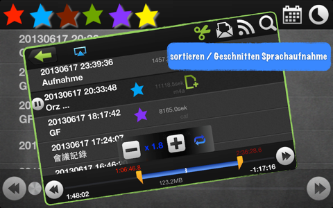 RecordKing Pro. screenshot 4