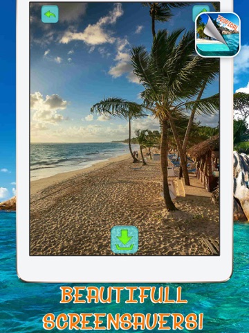 熱帯の島の壁紙 – 美しい夏のビーチとヤシの木の写真のおすすめ画像4