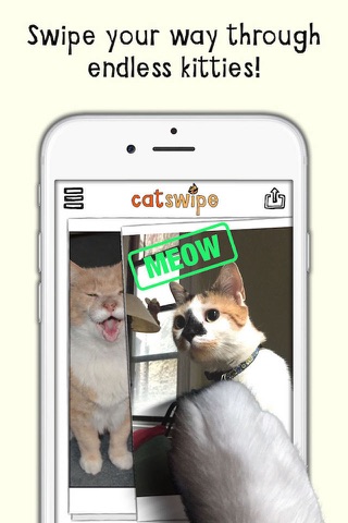 catSwipe - Swipe your way through endless kitties! screenshot 2
