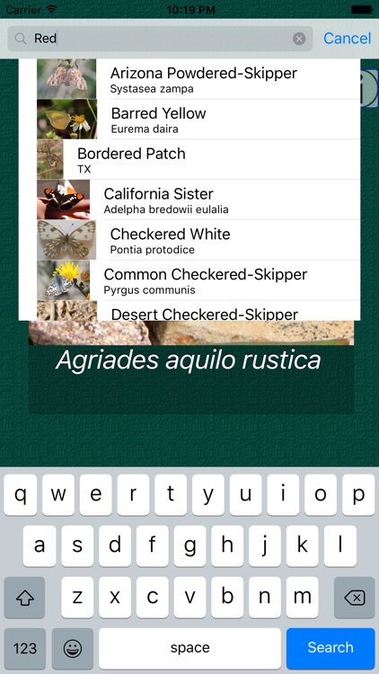 Butterfly Dictionary Pro screenshot-3