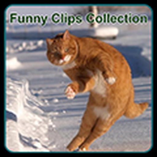 Funny Clips Collections