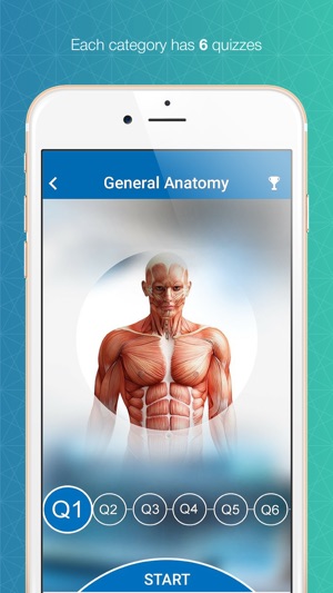 Chiro Board Review(圖2)-速報App