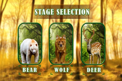 Safari Animal hunting  2016 – deer, bear and fox shooting game to increase the shooting level. screenshot 4
