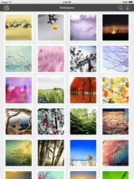 Wallpaper Collection Nature Edition ipad bilder 1