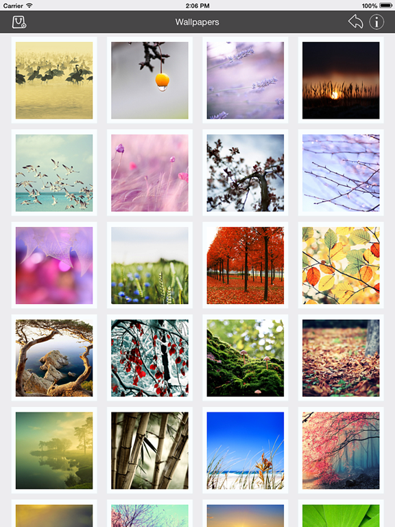 Screenshot #2 for Wallpaper Collection Nature Edition