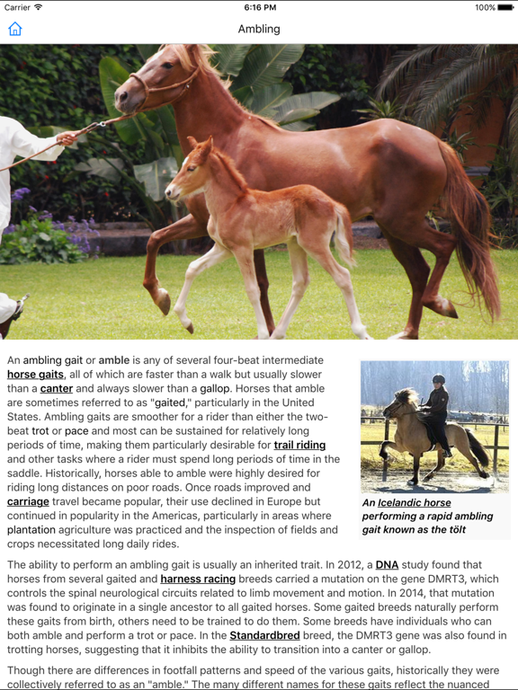 CHI Encyclopedia of Horses iPad screenshot 3 - Education app
