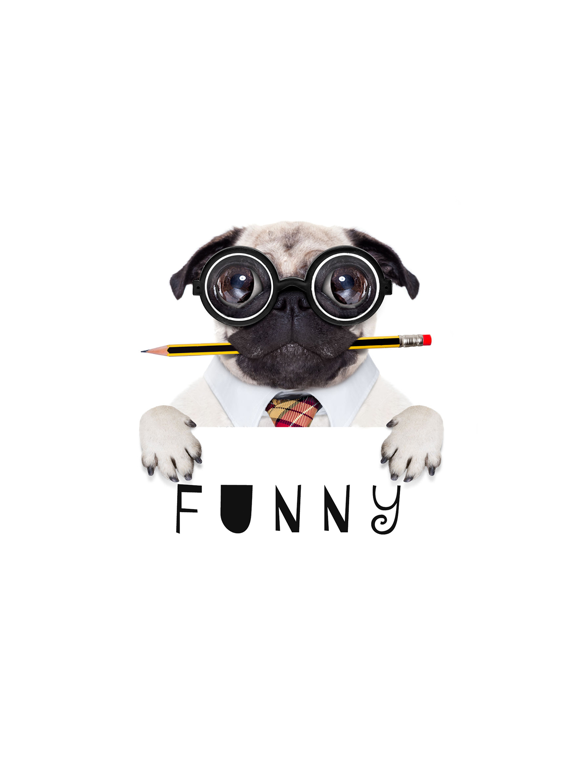 Screenshot #1 for Funny Videos - Best Collection