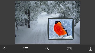 Snow Photo Frame - Art Photography & mega Framesのおすすめ画像2